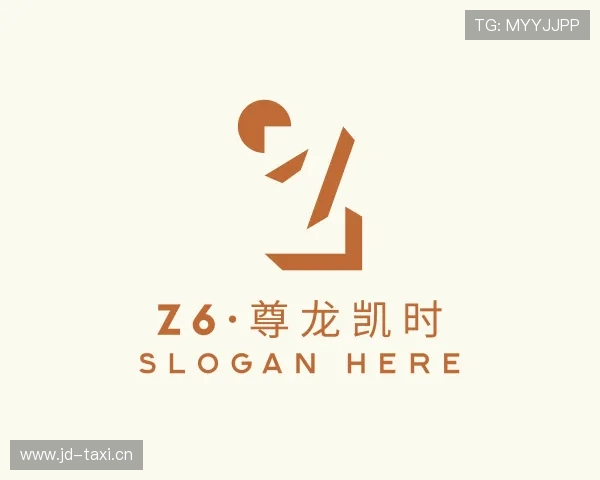 了解Z6·尊龙凯时